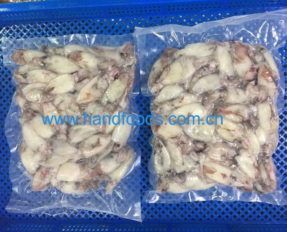 Hot Sale Seafood of Frozen Loligo Squid