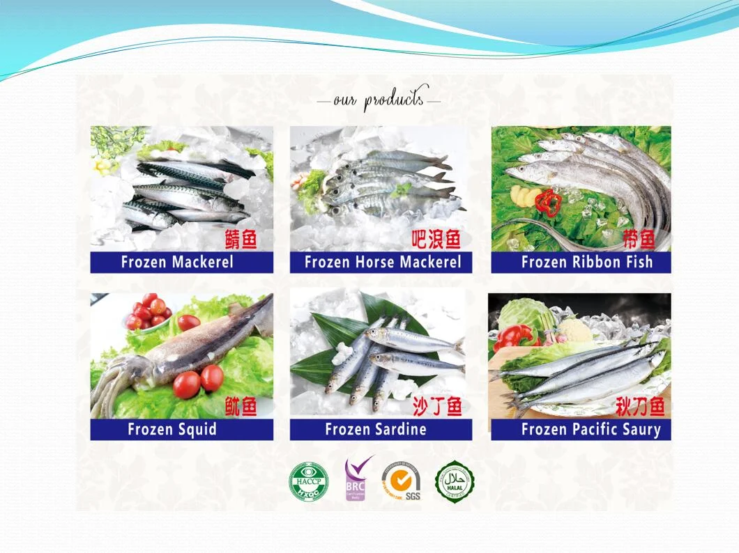 Wholesale Price Seafood Black Tilapia Fish Fresh Frozen Whole Tilapia