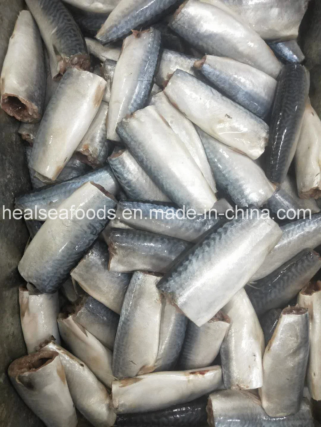 Land Frozen Pacific Mackerel Hgt with Good Price