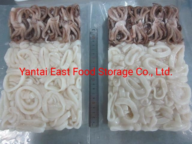 Frozen Squid Tt, Cleaned, Illex, Todarodes, Frozen Seafood