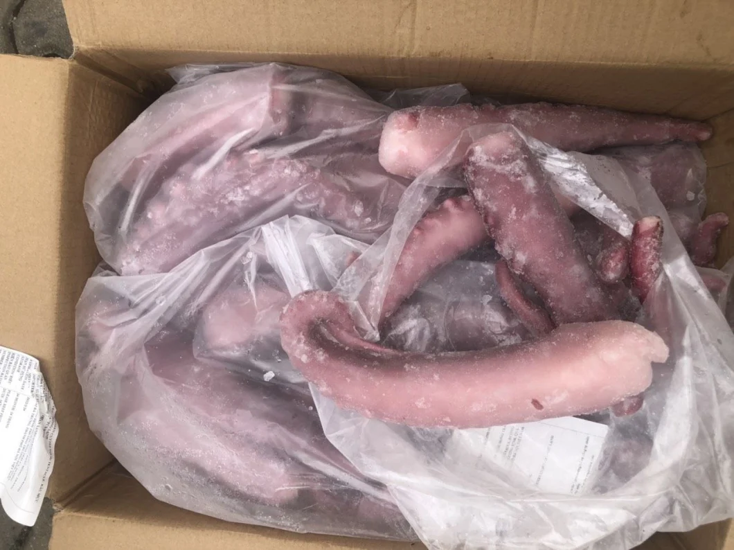 Frozen Squid Tentacle Strip Cut/ Giant Squid Tentacle/Gigas Squid Tentacle/Frozen Seafood