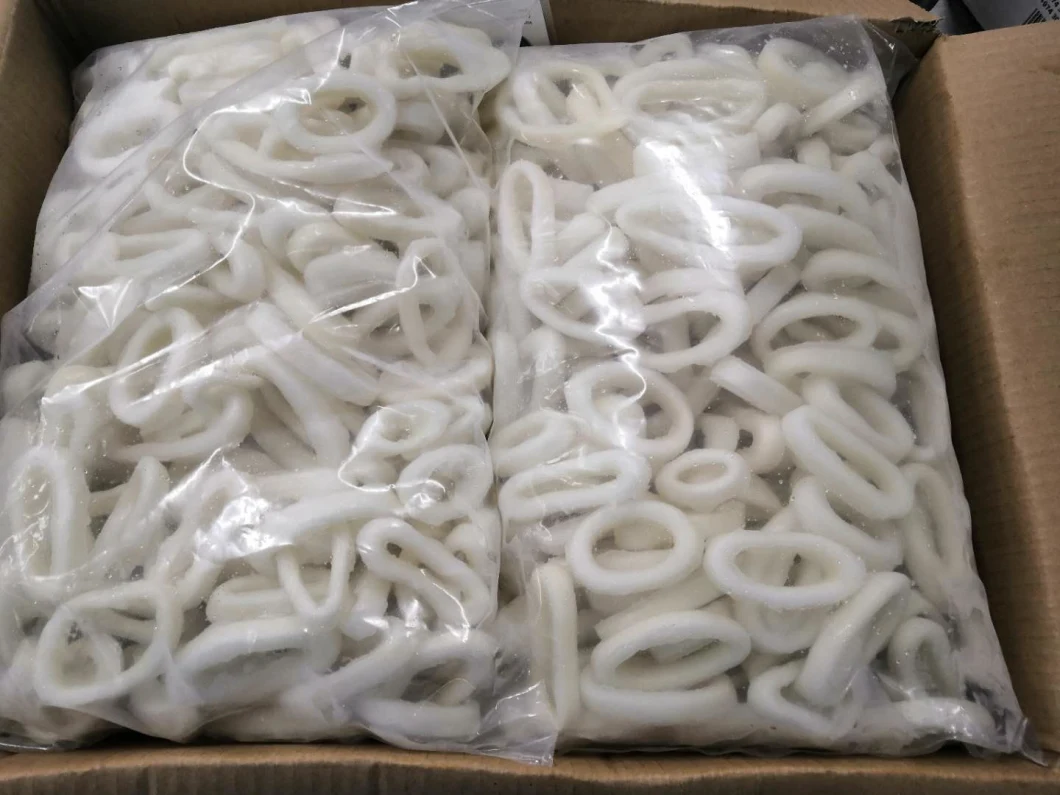 Frozen Squid Ring/Illex Squid Rings/Gigas Squid Rings/Todarodes Squid Rings/Anillas De Pota/Calamari Ring/Calamar/Seafood