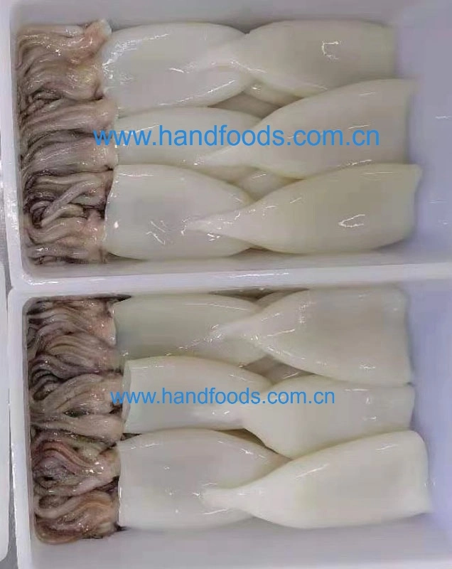 Good Quality Seafood of Frozen Squid T + T (Tubes + tentales or rings + Tentacles)