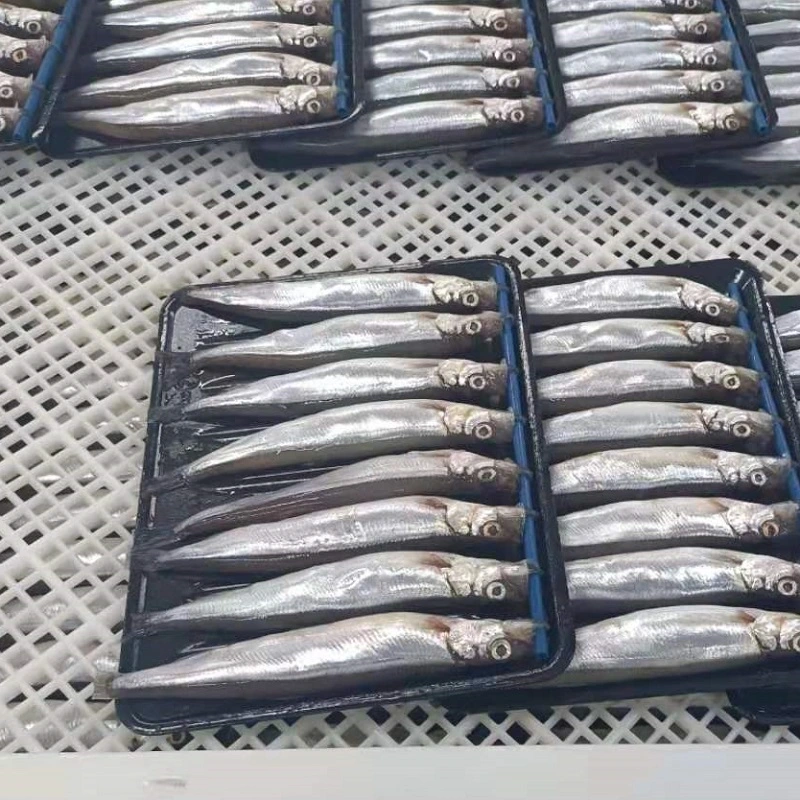 New Catching Frozen Capelin/Shishamo Fish for Sale IQF Capelin Bqf to Singapore