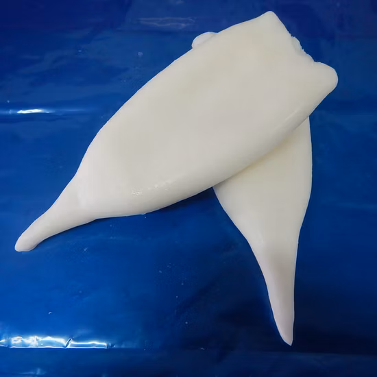 Peixe lula Frutos do mar Illex Todarodes Gigas Anéis de Lula Congelados Tubos