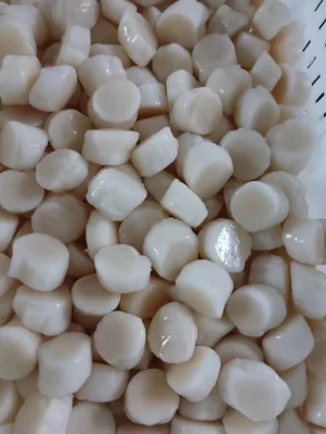 Frutos do mar congelados de alta qualidade cozidos deliciosos vieiras