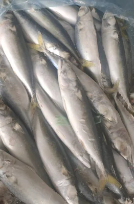 Sardinha de Frutos do Mar Congelados em Terra Fresca para Sardinhas Enlatadas