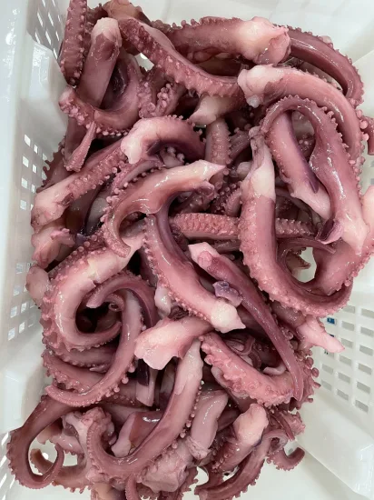 Tira de tentáculo de lula congelada/Tentáculo de lula gigante/Tentáculos de lula cozida/Frutos do mar congelados/Sotong