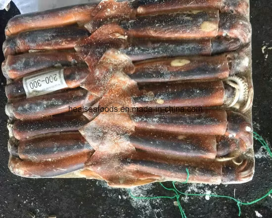 Illex Squid (Jigger, Sea Frozen)