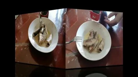 Erica Comprar Preço Barato Melhor Hala Congelado Enlatado Arenque Sardinha Peixe Marca Nome Científico em Óleo de Soja